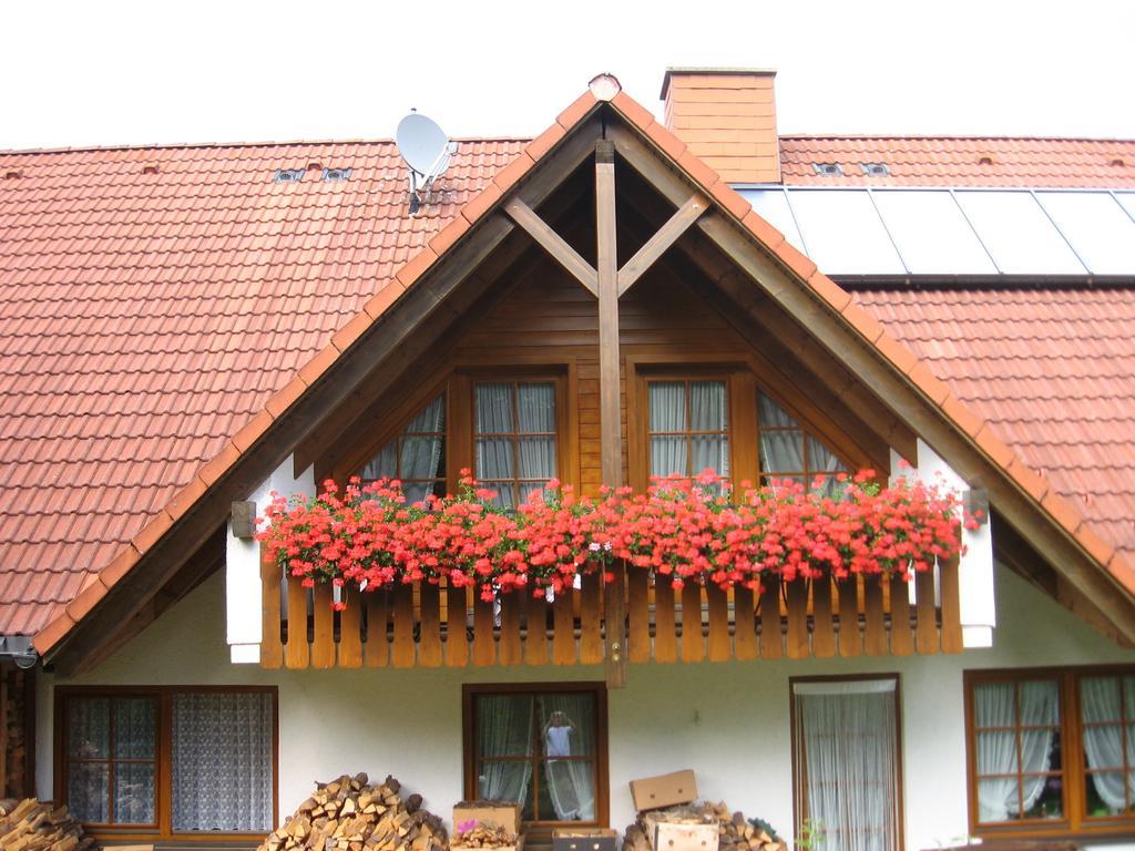 Hotel Gaestehaus Faller Feldberg  Exteriér fotografie